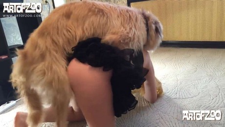 Zoo Порно с животными. Как кошки помогают расслабиться и найти душевный покой?