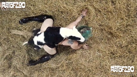 Zoo Порно с животными. Массаж с пушистыми питомцами: идеальный релакс для ног