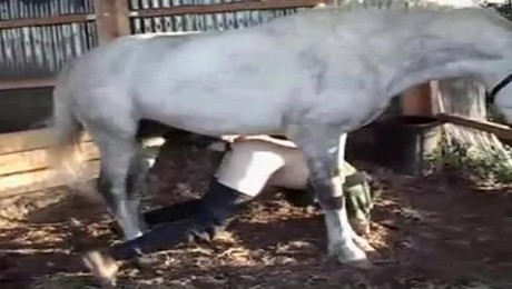 Zoo Порно с животными. Кошки как антистресс: уменьшение семейных тревог и напряжений