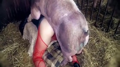 Zoo Порно с животными. Дыхание с пушистыми наставниками: уроки от собак и кошек