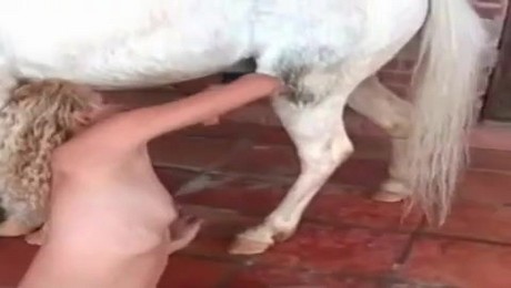Zoo Порно с животными. Какие секреты скрывают кошки: как они могут помочь снять напряжение.
