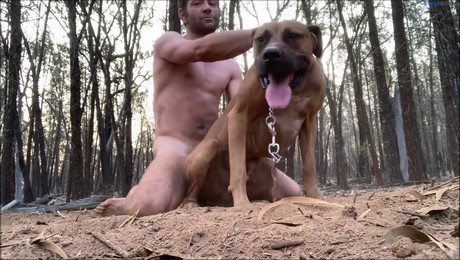 Zoo Порно с животными. Дружеские отношения свиньи и фермера