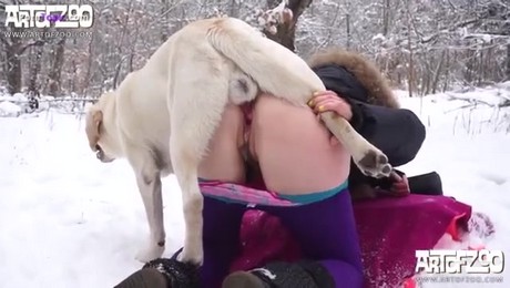 Zoo Порно с животными. Герой среди свиней: Спасение на ферме