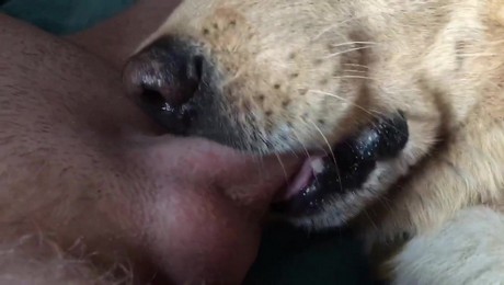 Zoo Порно с животными. Свинья и дача: Секреты крепкой дружбы