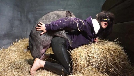 Zoo Порно с животными. «Как собака становится твоим лучшим спортивным партнером»