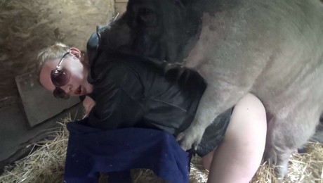 Zoo Порно с животными. Роль свиней в переработке пищевых отходов на экологической ферме