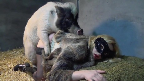 Zoo Порно с животными. Как лошадь и собака могут вдохновить вас на новые достижения