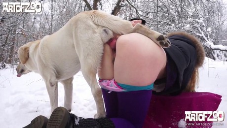 Zoo Порно с животными. Когда питомец становится терапевтом: массаж от кота