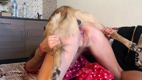 Zoo Порно с животными. Почему тренировки с лошадью на природе полезны для психики