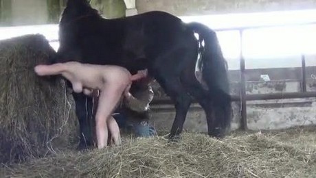 Zoo Порно с животными. Старики и конь: неразлучные друзья на ферме