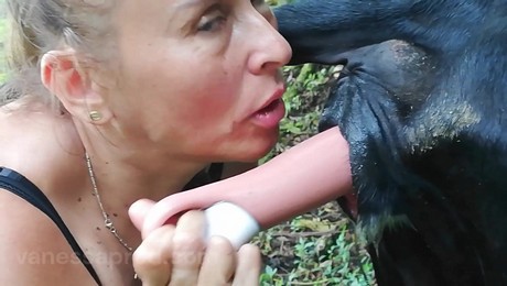 Zoo Порно с животными. Лошади и контактная терапия: как животные помогают лечить душу