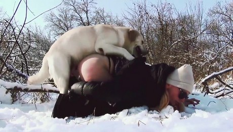 Zoo Порно с животными. Психология животных: как питомцы уменьшают уровень стресса