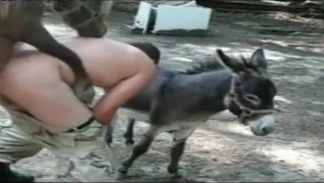 Zoo Порно с животными. Шарик или Мурка: что важно знать перед выбором питомца?