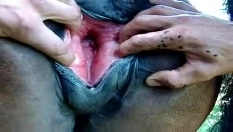 Zoo Порно с животными. Как медитация на лошади меняет ваше самочувствие