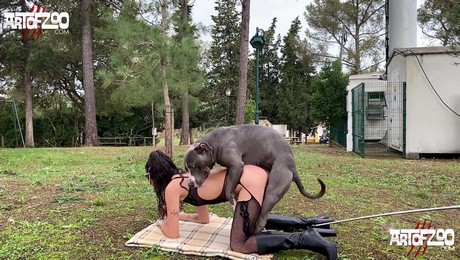 Zoo Порно с животными. Массаж с любовью: как собака улучшает твоё самочувствие