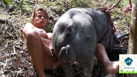 Zoo Порно с животными. Лошади и стресс: секреты эмоционального восстановления
