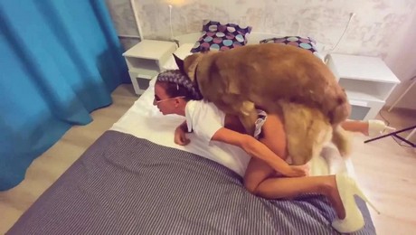 Zoo Порно с животными. Как медитация с кошкой помогает почувствовать гармонию