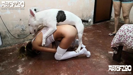 Zoo Порно с животными. Свиньи в саду: Как они помогают с мульчированием и рыхлением почвы