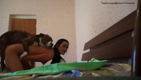 Zoo Порно с животными. Медитация с питомцем: обретение внутренней тишины с собакой