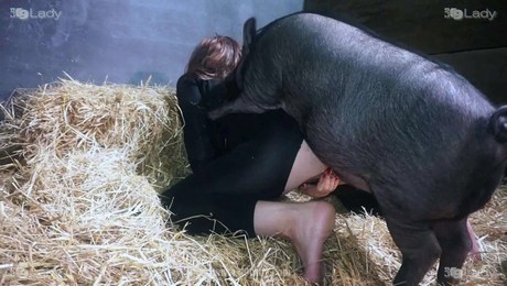 Zoo Порно с животными. Когда животные делают йогу: самые смешные кадры