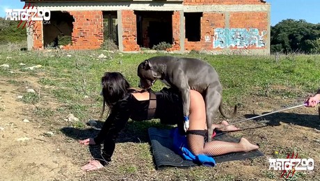 Zoo Порно с животными. Щенок, который целует: как он приносит радость в дом