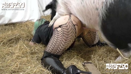 Zoo Порно с животными. Развиваем тело с лошадью на свежем воздухе