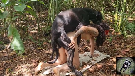 Zoo Порно с животными. Питомцы и тренировки: как кошка может стать вашим личным тренером
