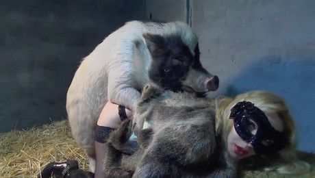 Zoo Порно с животными. Лошади: лучшие друзья для семейных прогулок на свежем воздухе